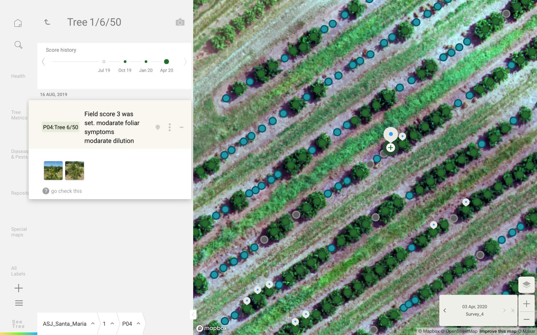 Satellite photo of orchard with tree analytics